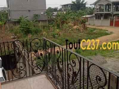 Terrain à vendre à Logpom Douala