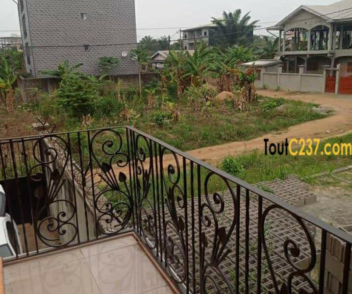 Terrain à vendre à Logpom Douala