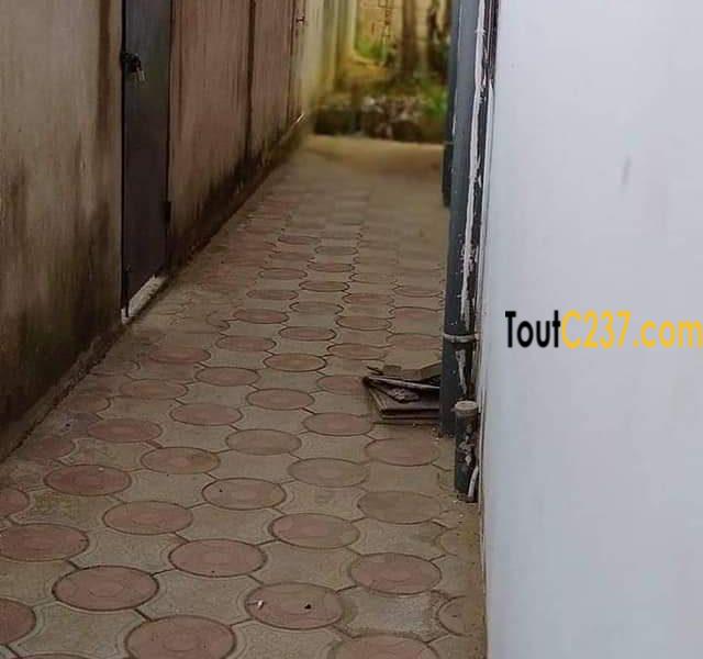 Maison Villa à louer à Kotto Bangue Douala