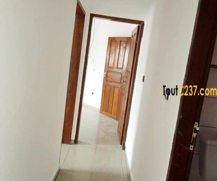 Appartement à louer à Bonamoussadi Douala