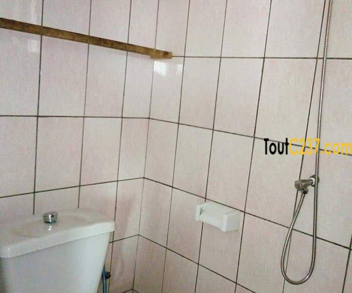 Appartement à louer à Bonamoussadi Douala