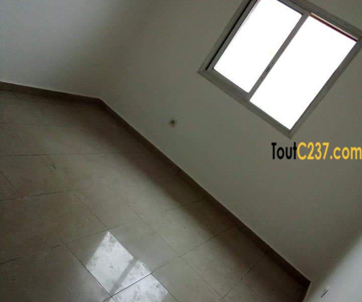 Appartement à louer à Bonamoussadi Douala