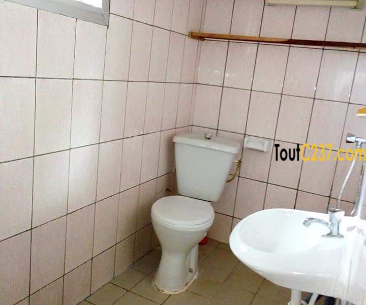 Appartement à louer à Bonamoussadi Douala