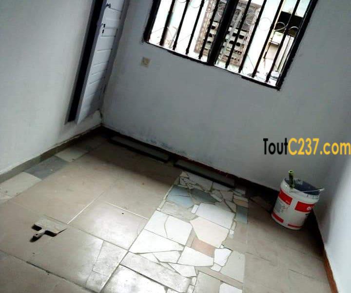 Appartement à louer à Bonamoussadi Douala