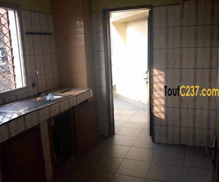 Appartement à louer à Kotto Douala