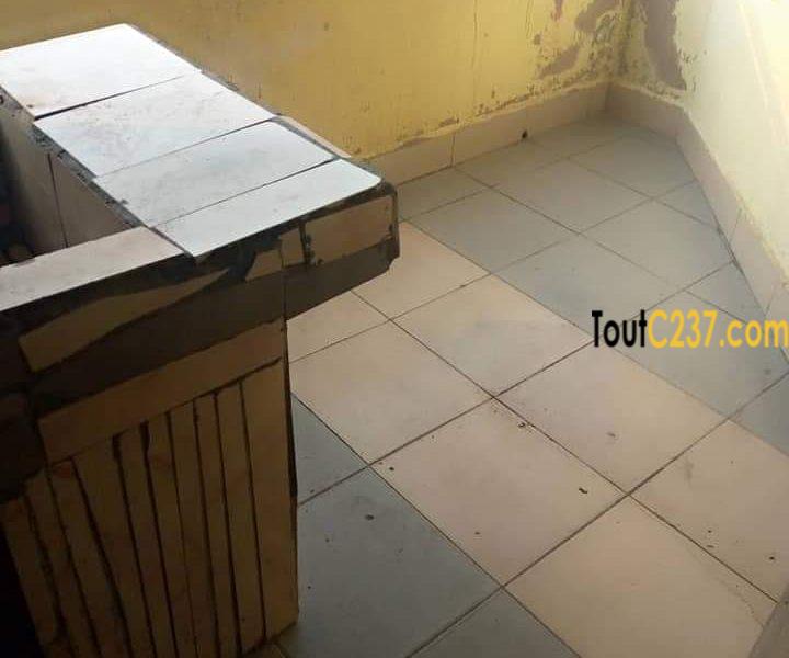 Appartement à louer à Kotto Douala