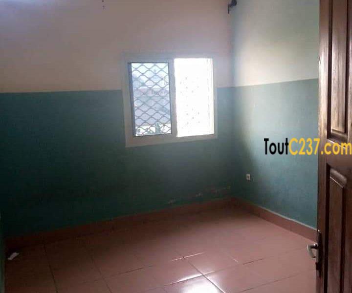 Appartement à louer à Kotto Douala