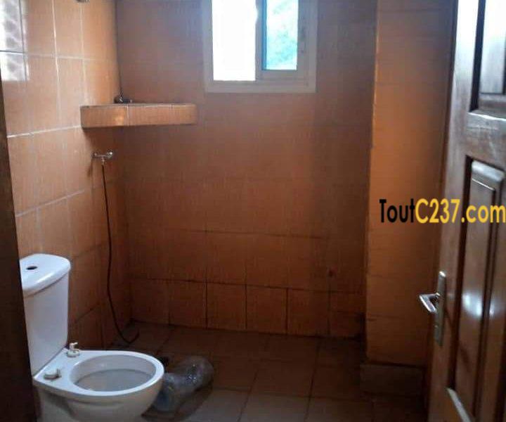 Appartement à louer à Kotto Douala