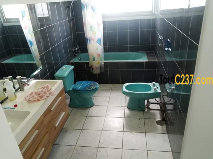 Maison à louer à Bonapriso Douala