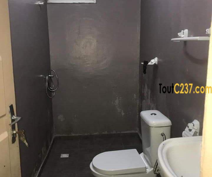 Appartement à louer à Bonapriso Douala