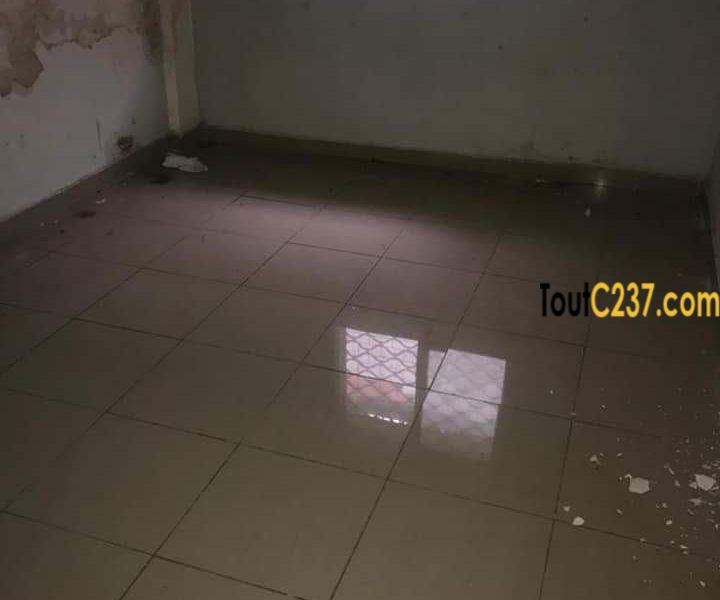 Appartement à louer à Bonapriso Douala