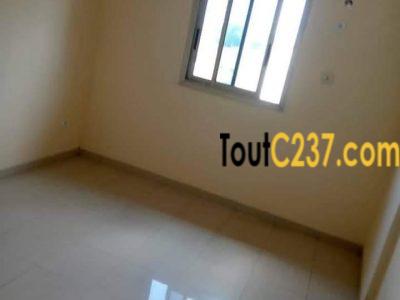 Appartement à louer à Bonapriso Douala