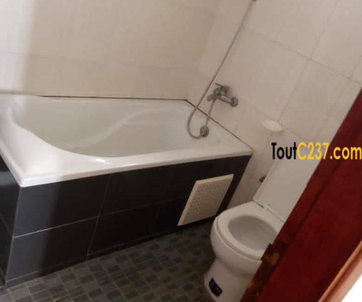 Appartement à louer à Bonapriso Douala