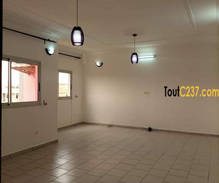 Appartement à louer à Kotto Douala