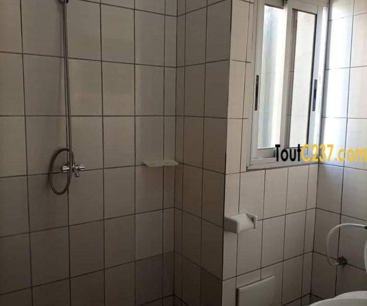 Appartement à louer à Kotto Douala