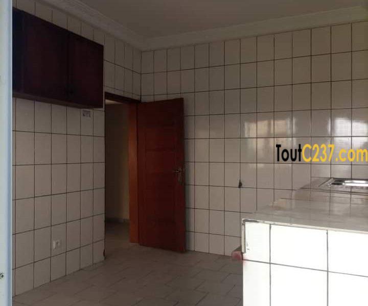 Appartement à louer à Kotto Douala