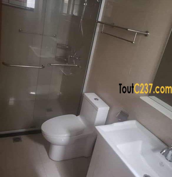 Appartement à louer à Bonapriso Douala