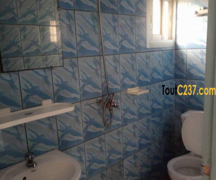 Studio Moderne à louer à Bonamoussadi, Douala