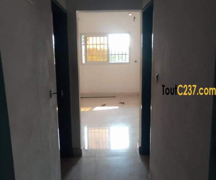 Studio Moderne à louer à Bonamoussadi, Douala