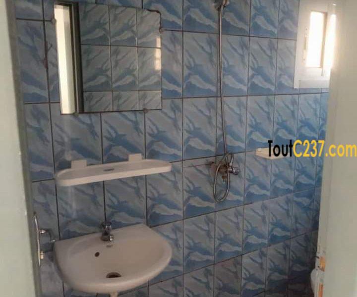 Studio Moderne à louer à Bonamoussadi, Douala