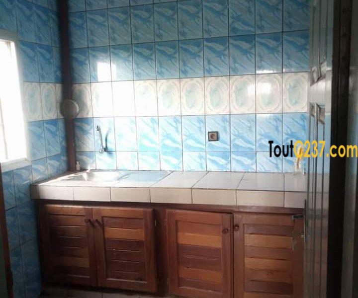 Studio Moderne à louer à Bonamoussadi, Douala