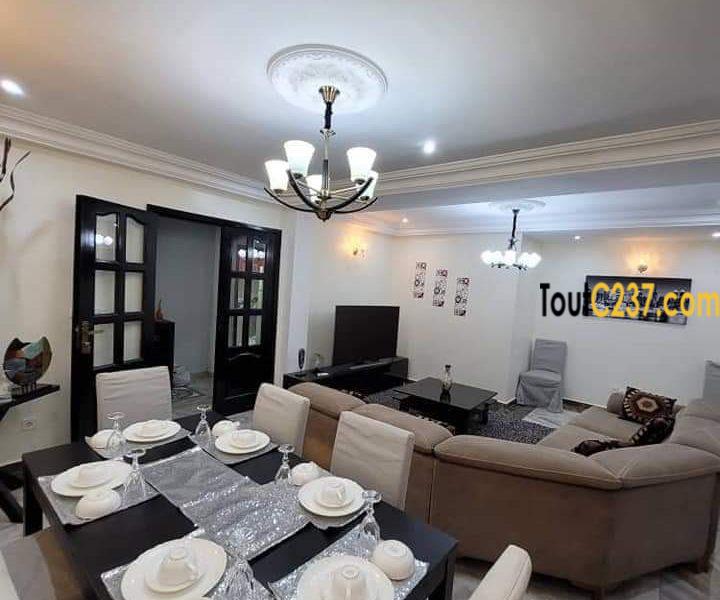 Appartement meublé à louer à Bonapriso, Douala