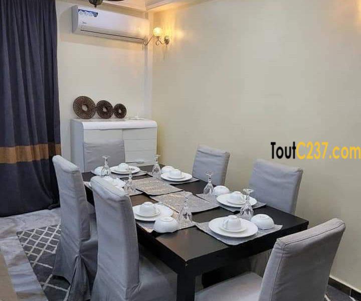Appartement meublé à louer à Bonapriso, Douala