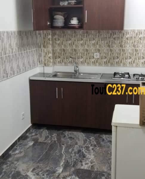 Appartement vip à louer à Bonapriso Douala