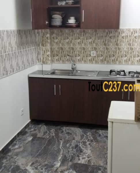 Appartement meublé à louer à Bonapriso, Douala