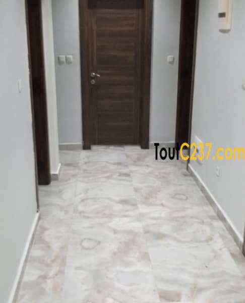 Appartement vip à louer à Bonapriso Douala