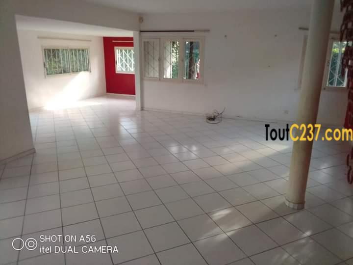 Maison à louer à Bonapriso Douala
