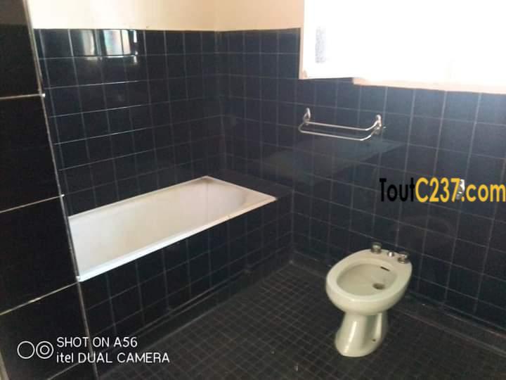 Maison à louer à Bonapriso Douala