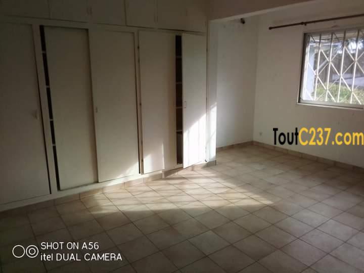 Maison à louer à Bonapriso Douala