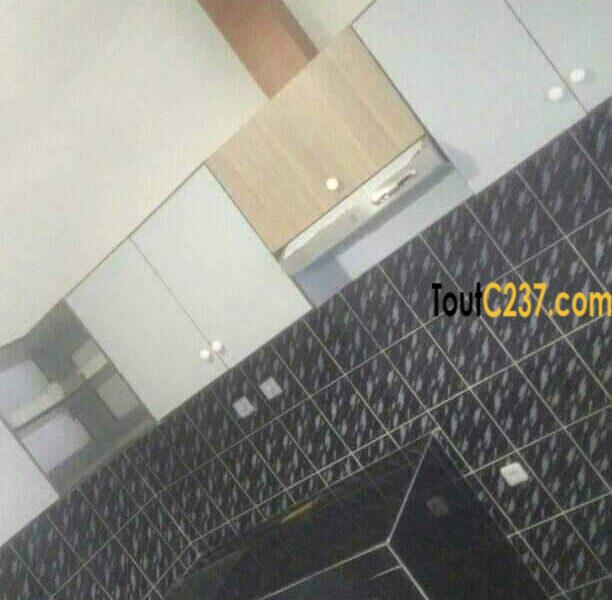 Maison à louer à Bonapriso Douala