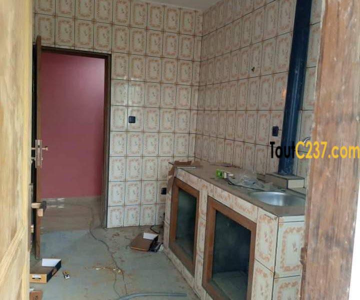Appartement à louer à Kotto Douala