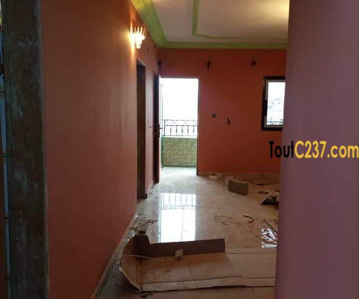 Appartement à louer à Kotto Douala