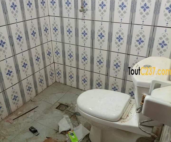 Appartement à louer à Kotto Douala