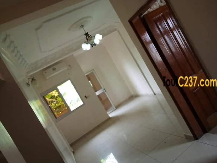 Appartement à louer, Apartment to rent, Bonamoussadi Douala