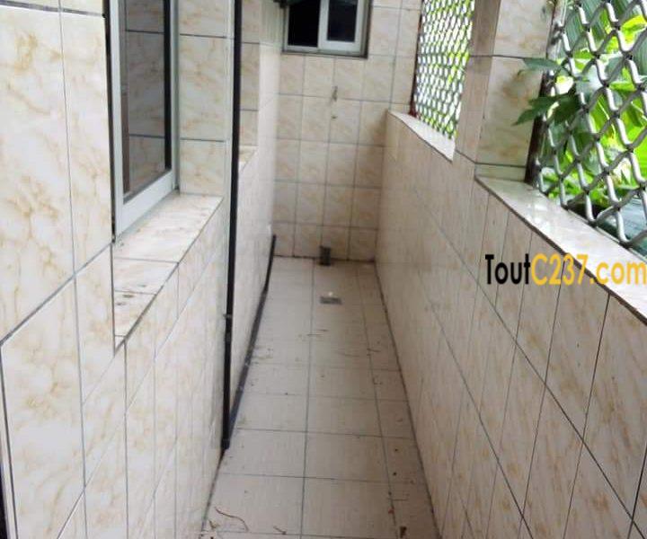 Appartement à louer, Apartment to rent, Bonamoussadi Douala