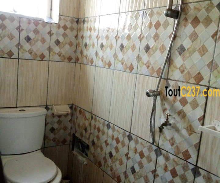 Appartement à louer, Apartment to rent, Bonamoussadi Douala