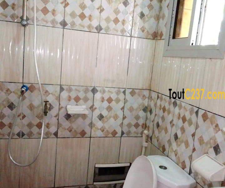 Appartement à louer, Apartment to rent, Bonamoussadi Douala