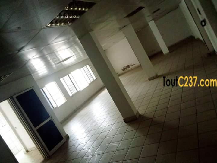 Bureau à louer à Akwa Douala