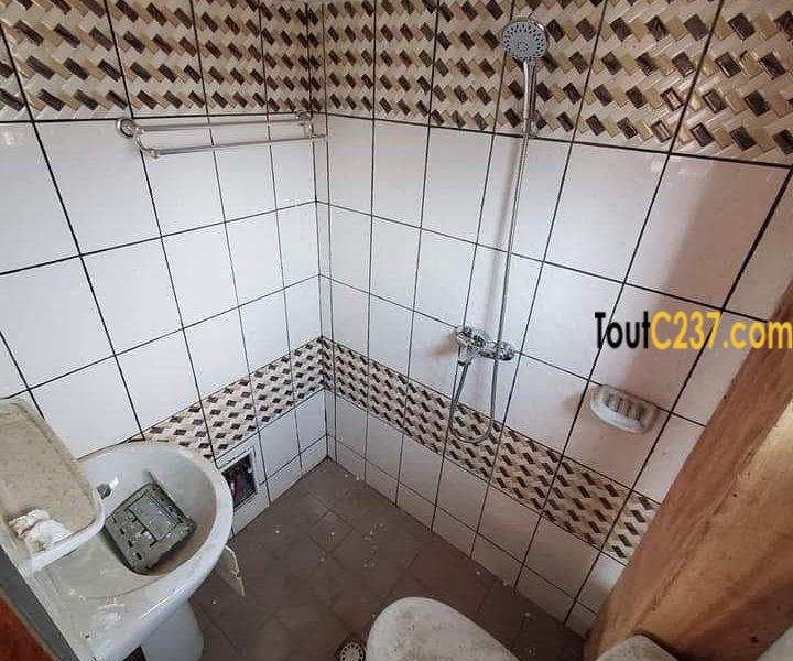 Appartement à louer à Kotto Douala