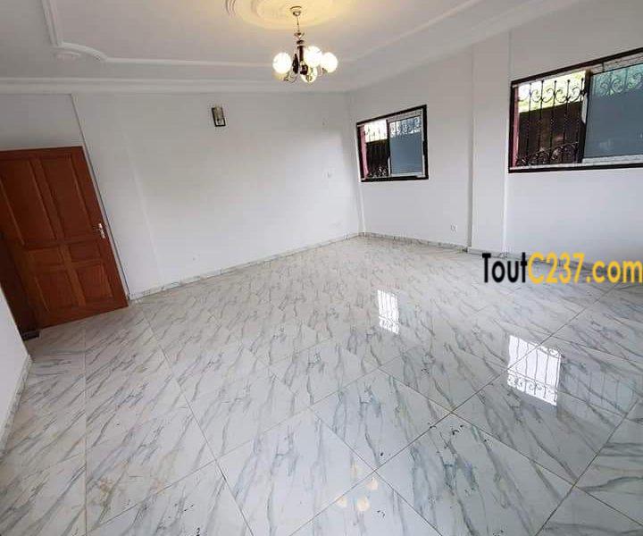 Appartement à louer à Kotto Douala
