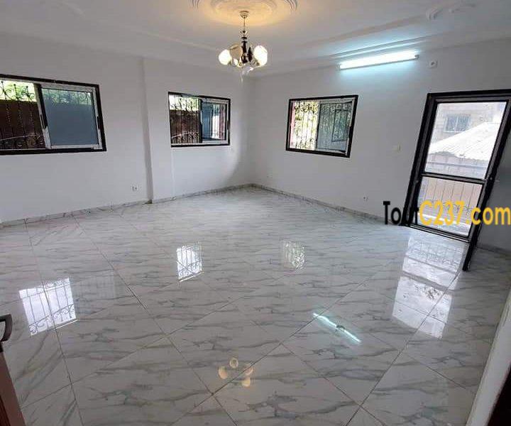 Appartement à louer à Kotto Douala