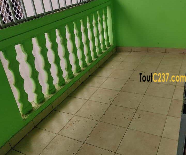 Appartement à louer à Kotto Douala