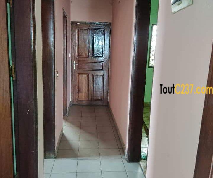 Appartement à louer à Kotto Douala