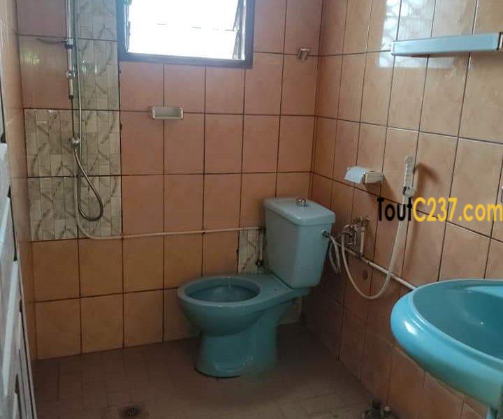 Appartement à louer à Kotto Douala