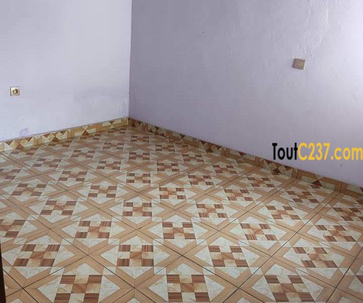 Appartement à louer à Kotto Douala