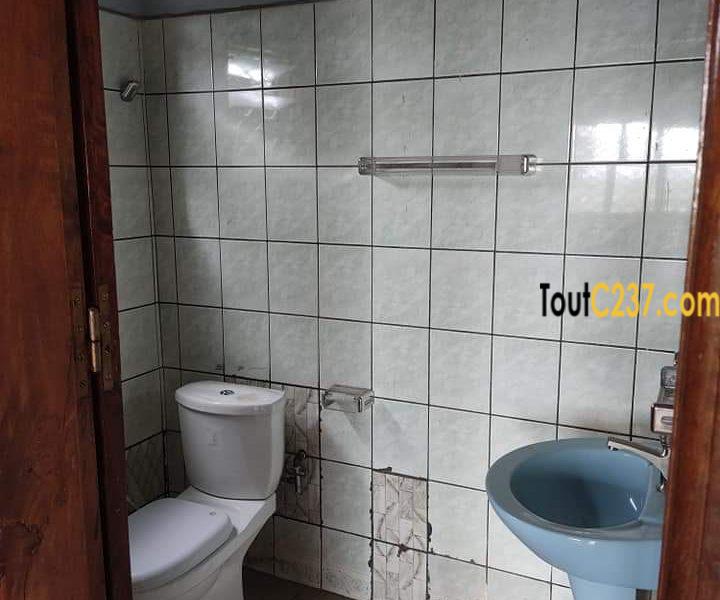Appartement à louer à Kotto Douala
